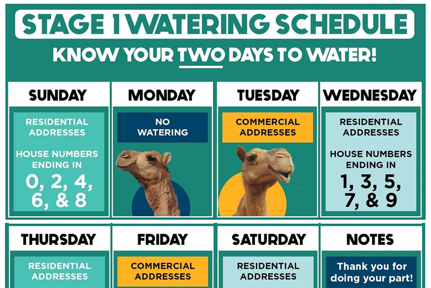 7-24 stage 1 watering featured